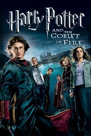 Fire & Ice (2008) Hindi Dual Audio | Hindi Dubbed Movie BluRay 300MB