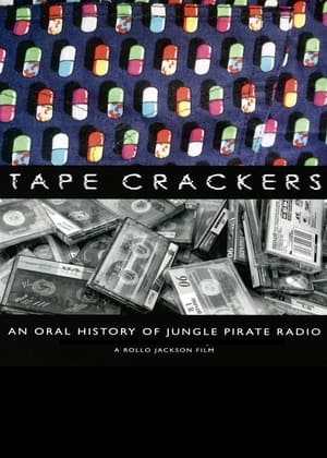 Pirate Radio (2009) Hindi Dual Audio | Hindi Dubbed Movie BluRay 400MB