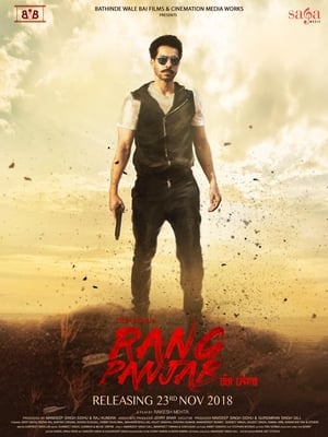Rang Panjab (2018) Punjabi Movie | Hindi Dubbed Movie HDRip – [350MB]